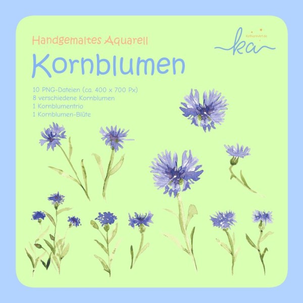 Aquarell-Kornblumen